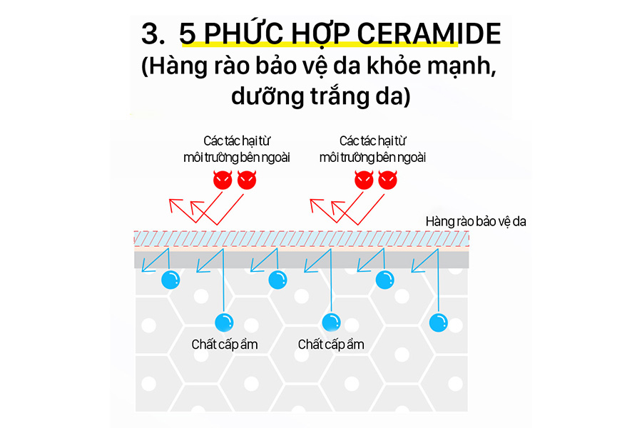 Phuc Hop Ceramin