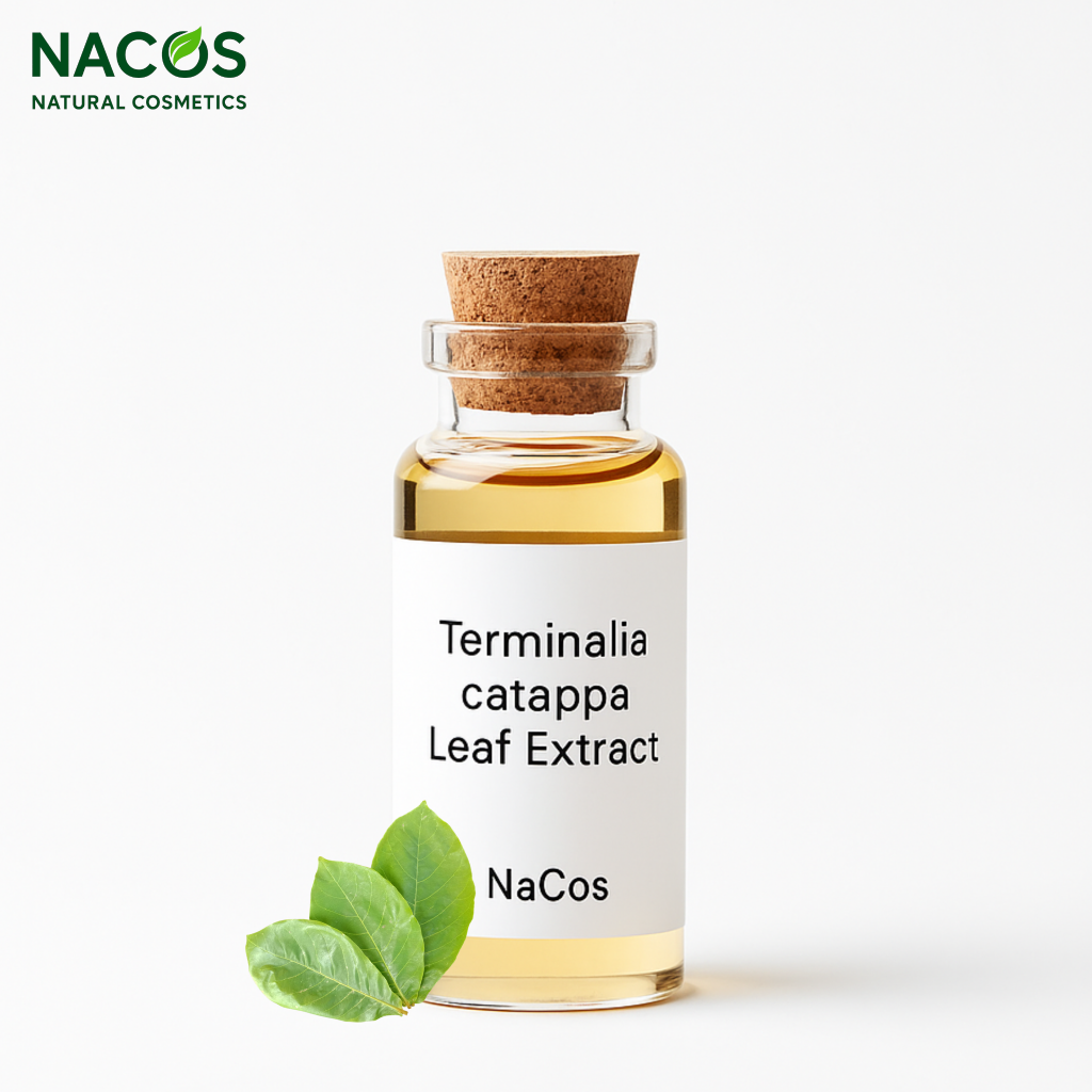 NACOS