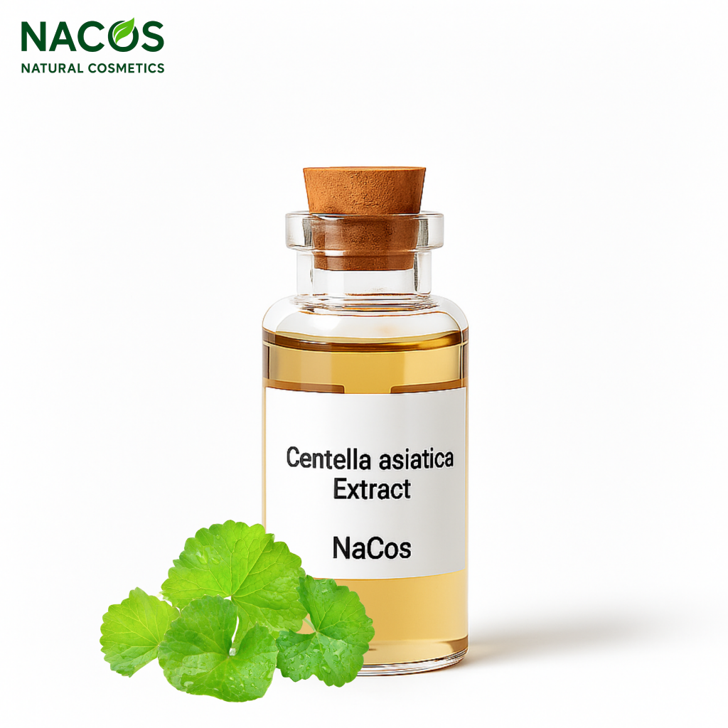 NACOS