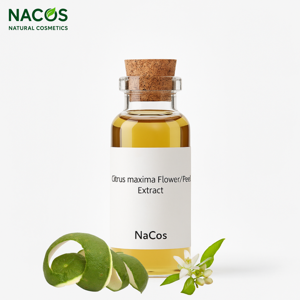 NACOS