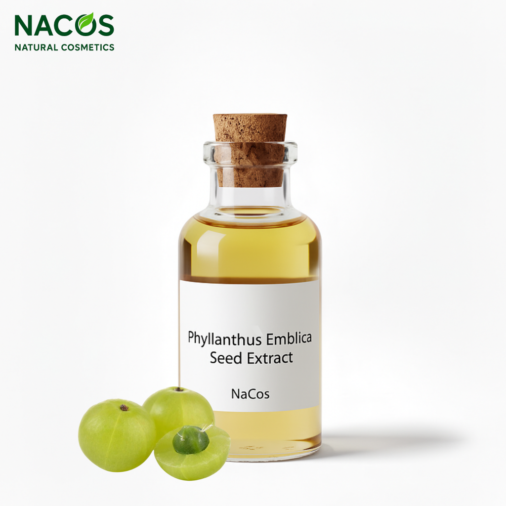 NACOS