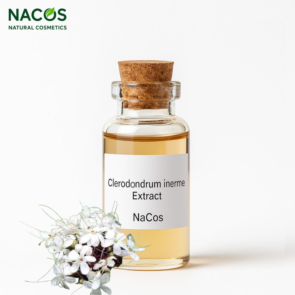 NACOS