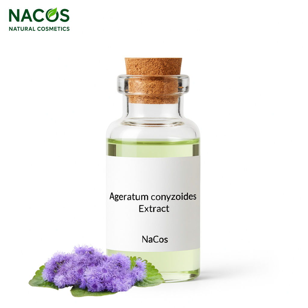 NACOS