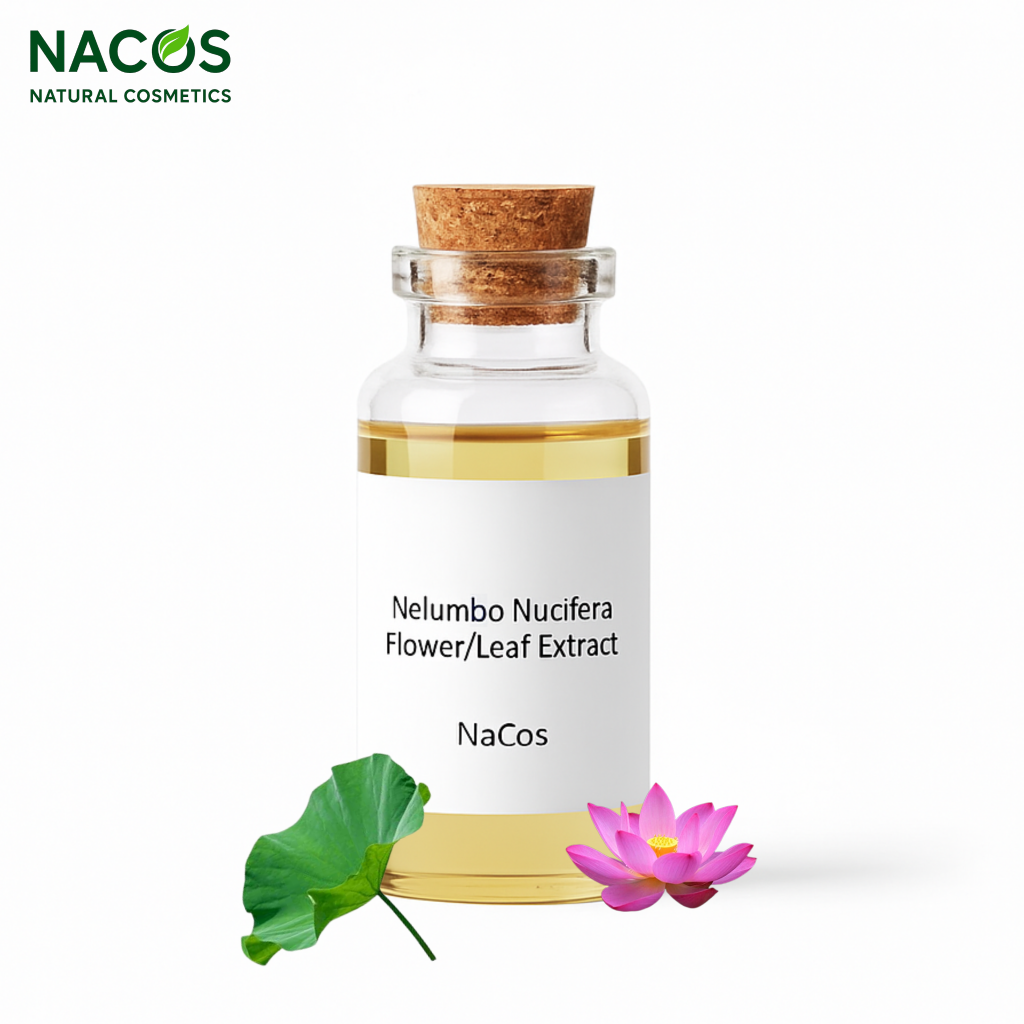 NACOS