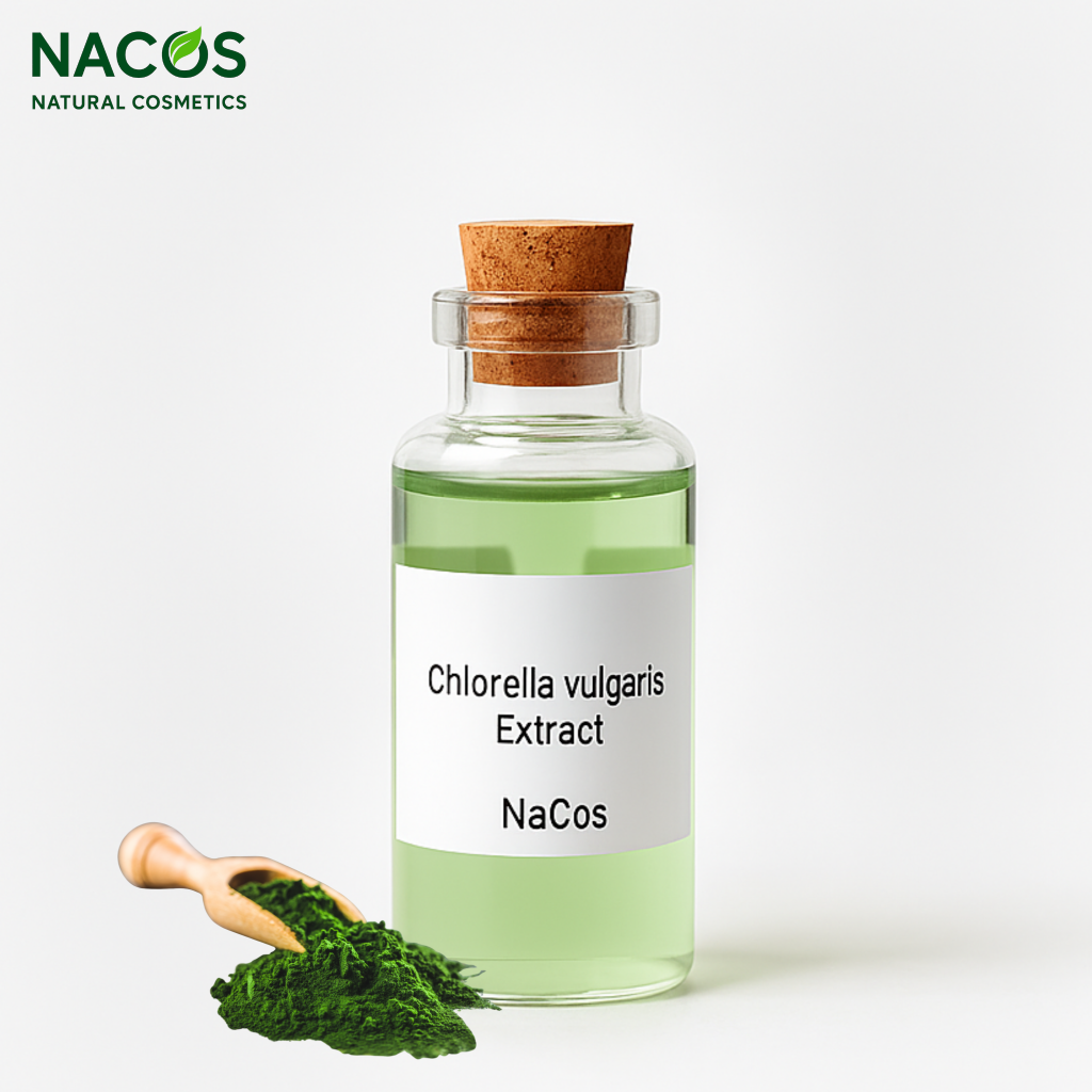 NACOS