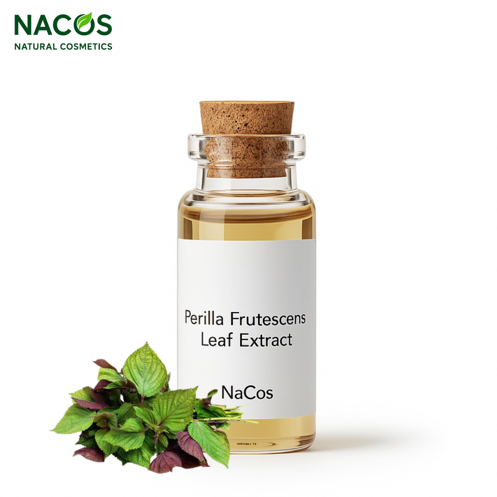 NACOS