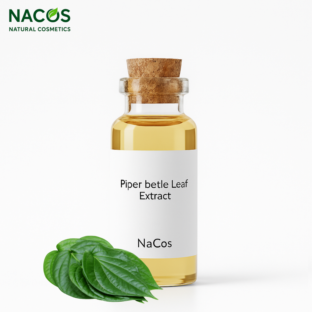 NACOS