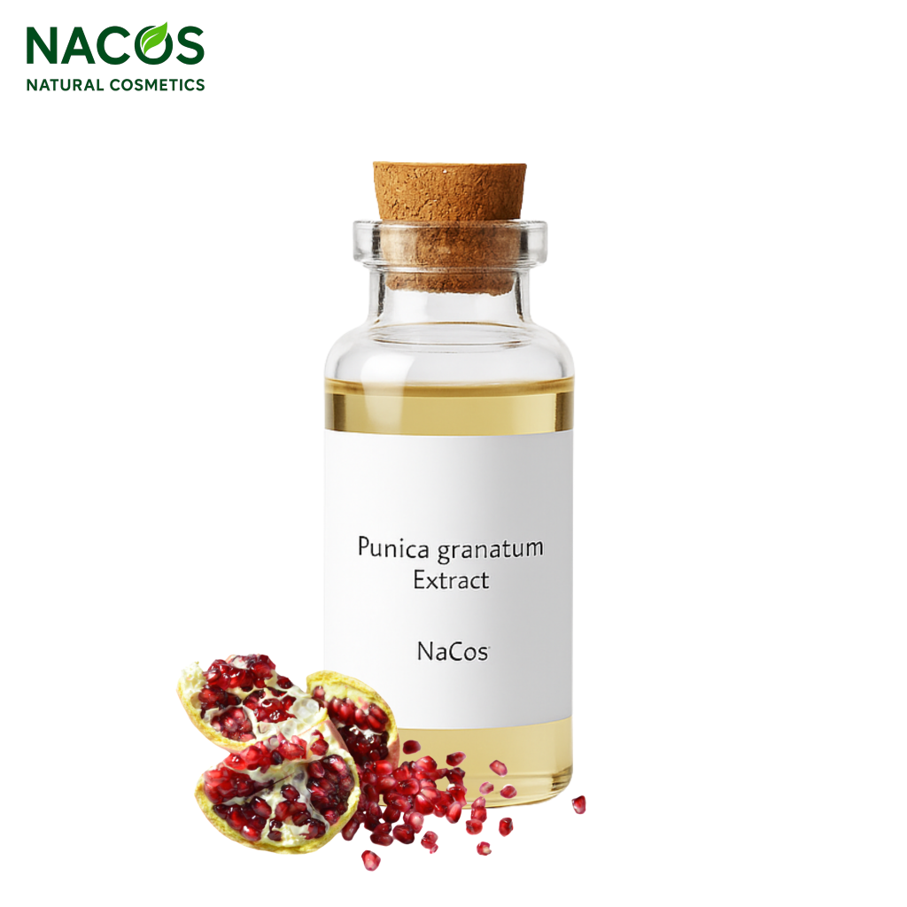 NACOS